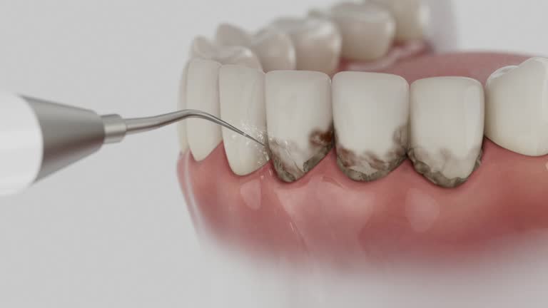Reliable Dental contractor in Urania, LA by Dentist Open Now